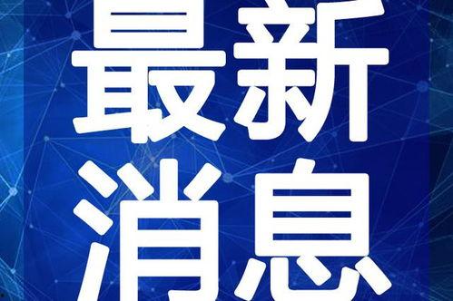 布鲁克最新爆料图片视频,独家图片视频揭秘惊人内幕